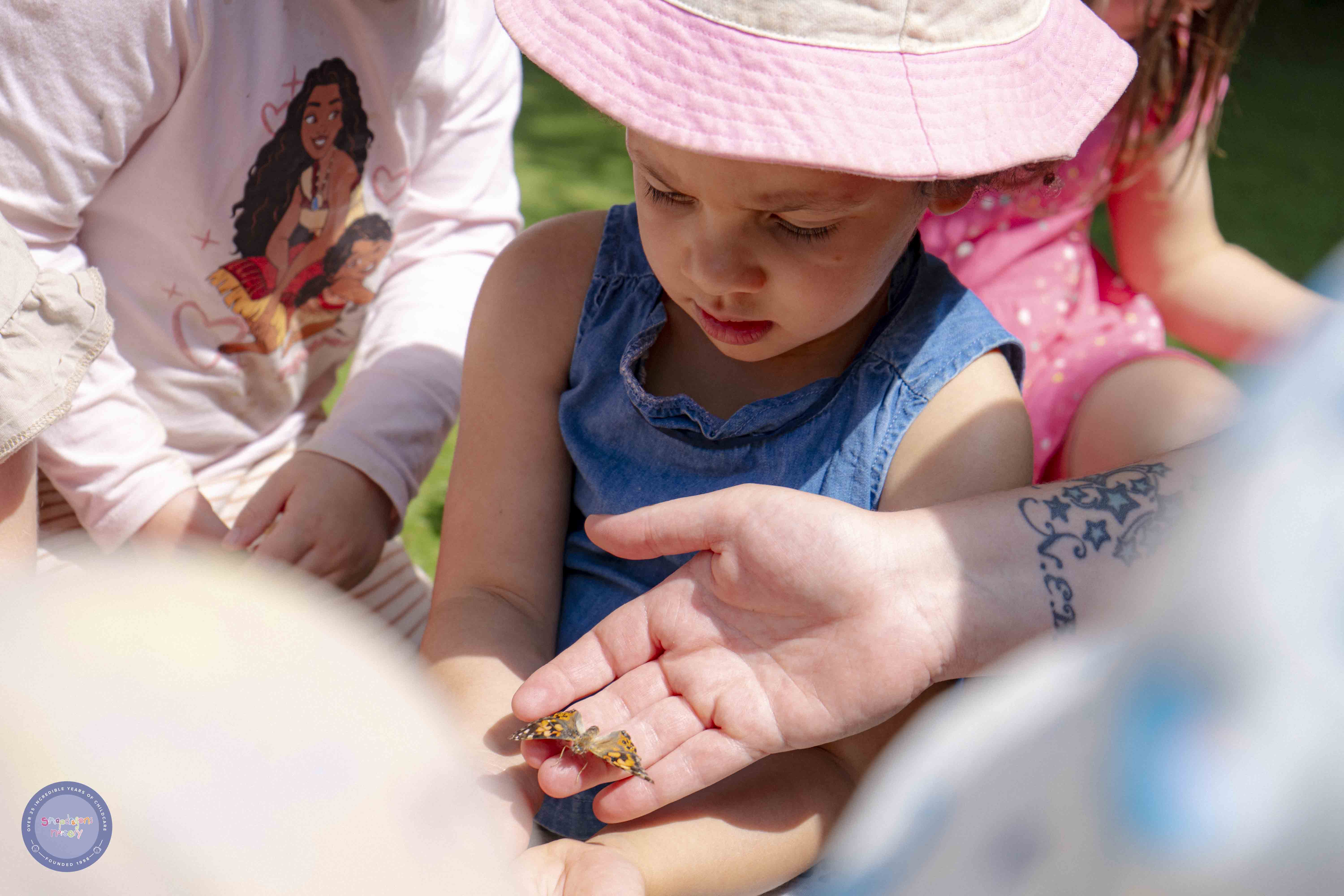 Thumbnail photo for Broadwood Butterflies 2025