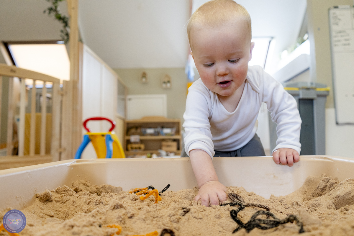 Thumbnail photo for Outdoor Play and Bird Week January 2025