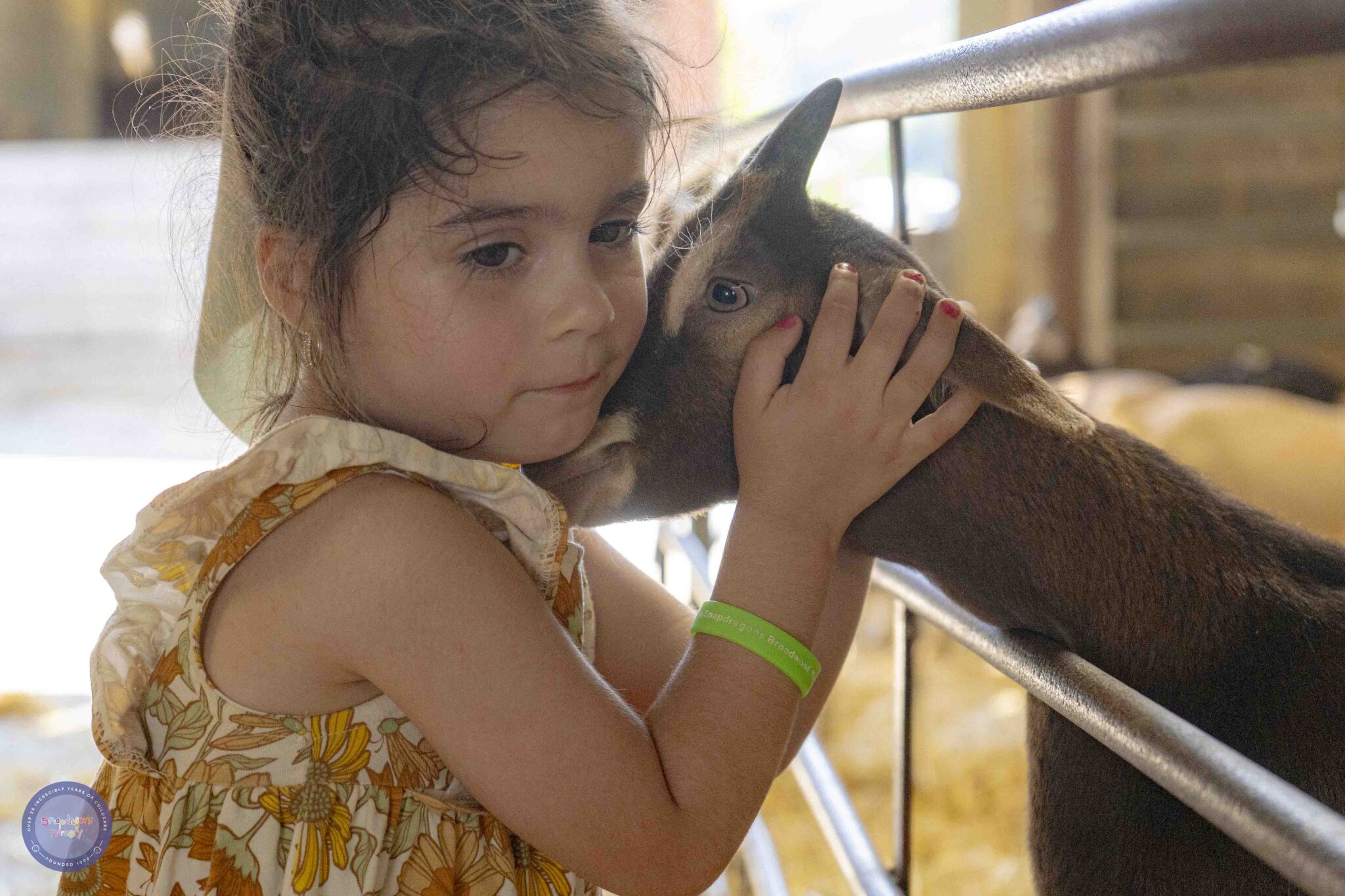 Thumbnail photo for Warleigh Lodge Farm 2025